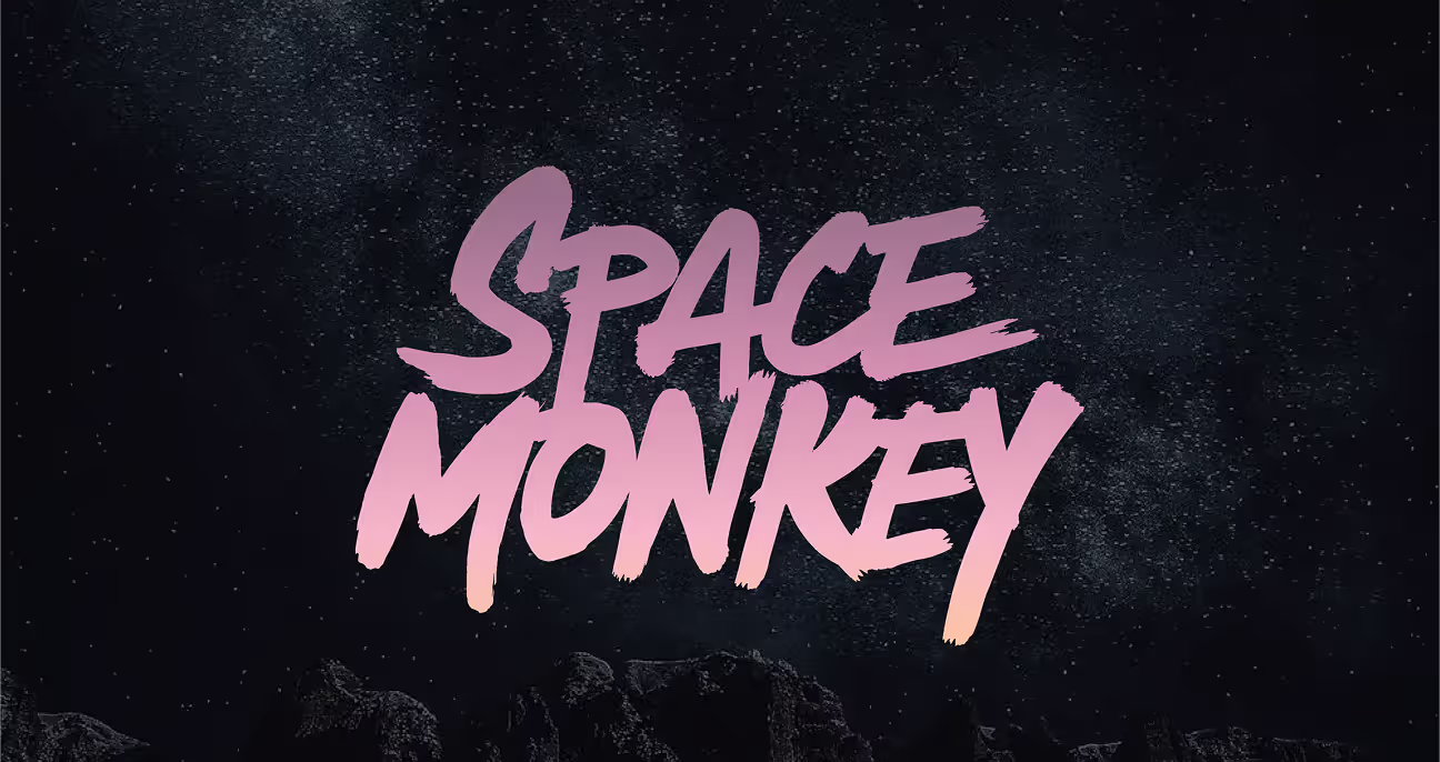 Space Monkey decentralized storage product